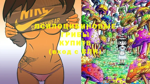 прущая мука Лиски
