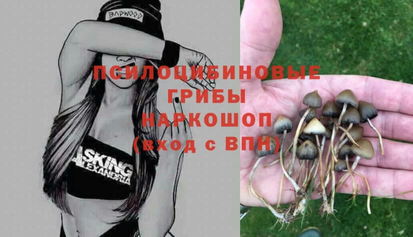 ГАЛЛЮЦИНОГЕННЫЕ ГРИБЫ Алексеевка