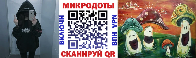 купить наркоту  Черкесск  blacksprut маркетплейс  Галлюциногенные грибы Psilocybine cubensis 